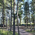 Tent camping at Big Pine Campground in Custer SD