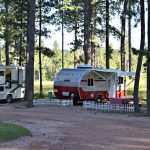 RVs at Big Pine Campground in Custer SD