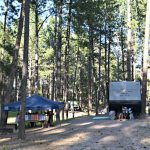RVs at Big Pine Campground in Custer SD