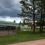 Broken Arrow Horse & RV Campground in Custer South Dakota offers tent camping and RV sites, and horses are allowed