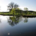 Scenery at Elk Creek Resort & Petrified Forest in Piedmont SD