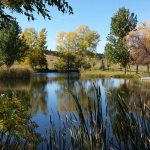 Scenery at Elk Creek Resort & Petrified Forest in Piedmont SD