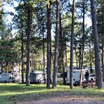 Fort Welikit Family Campground in Custer SD in the pine trees