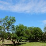 Kennebec KOA Journey in South Dakota from the road