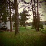 The Roost Resort in Custer South Dakota Campground