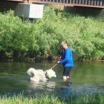 Wyatt's Hideaway Campground in Belle Fourche South Dakota - pets have fun