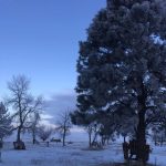 Winter scene at Badlands Heritage Guest Ranch